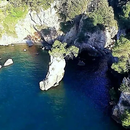 Affittacamere Mediterraneo *
