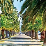 Konukevi Mediterraneo